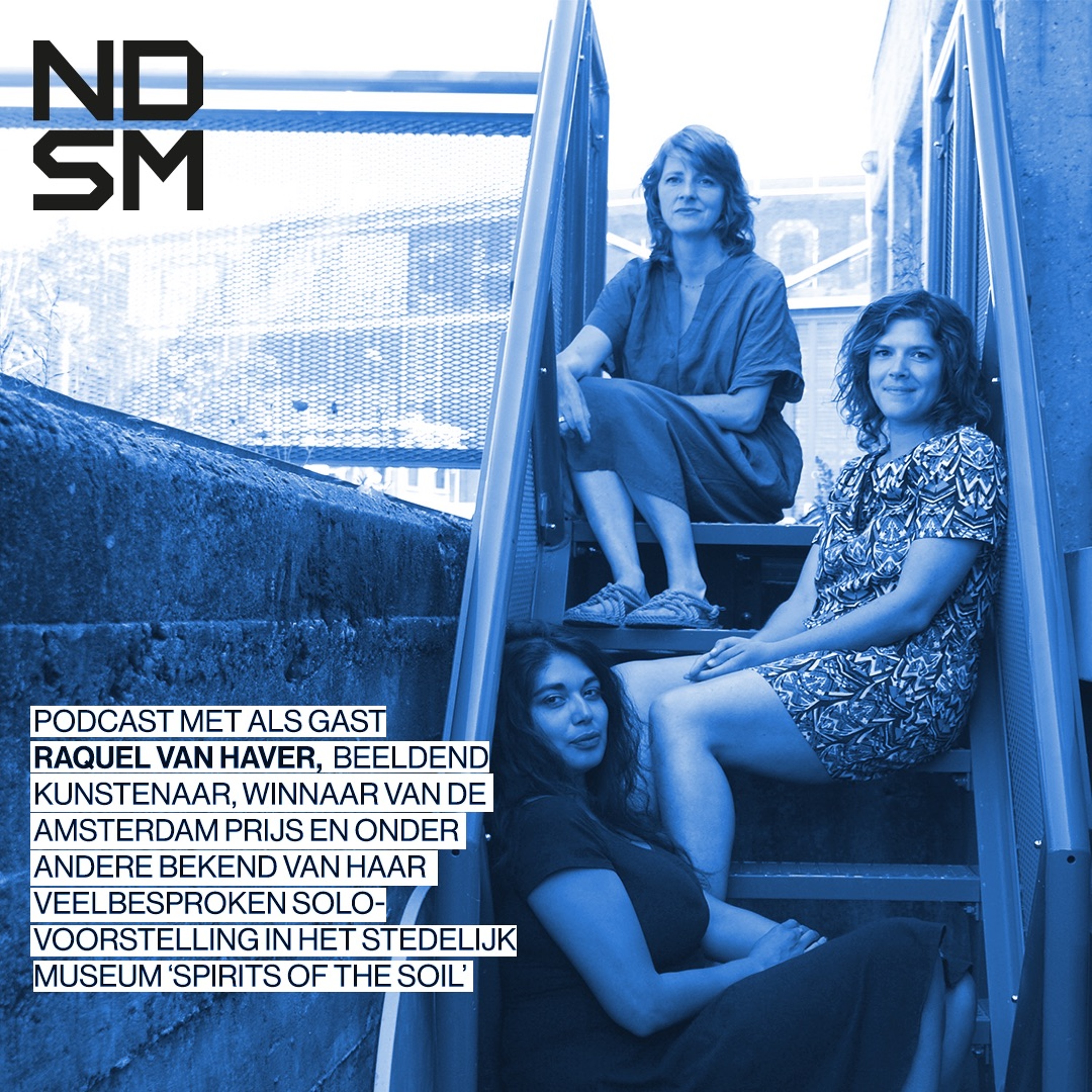 NDSM X