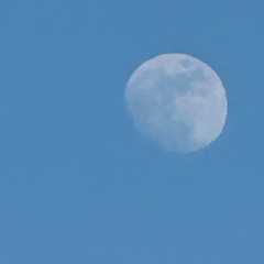 Satellite