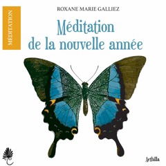 Méditation de la nouvelle année en musique (extrait)