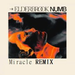 Elderbrook - Numb (Clebin Remix)