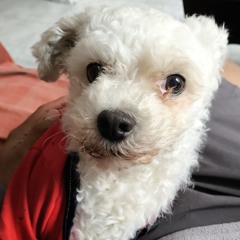 jueves 06 de noviembre tech House techno dark disco