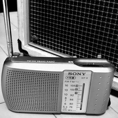 玉音放送 デモ