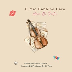 O Mio Babbino Caro (Aria On Violin)
