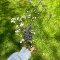 08:03 sat May 08 2021