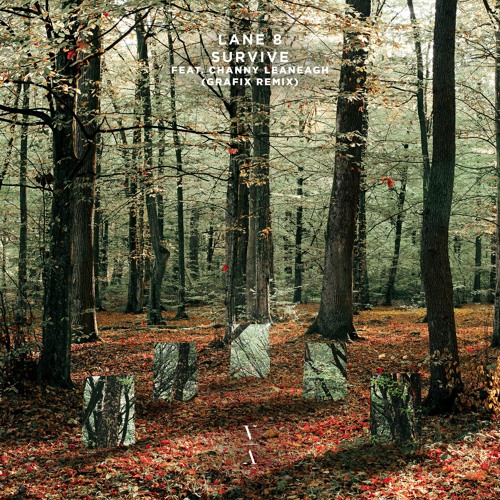 Lane 8 - Survive feat. Channy Leaneagh(Grafix Remix)