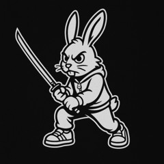 FOLLOW THE DARK RABBIT (breakbeat set)