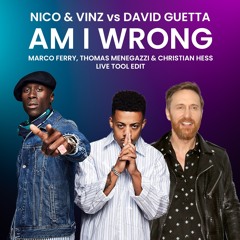 Am I Wrong (Marco Ferry, Thomas Menegazzi & Christian Hess Live Tool Edit) [FILTERED]