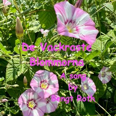 De Vackraste Blommorna (The Most Beautiful Flowers - Lyrics in English in description)