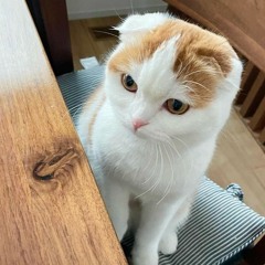 my whole life has been building up to this