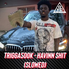 Trigga500k - Havinn Shit (Slowed)