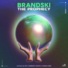 FEINSTOFF PREMIERE: Brandski - The Prophecy (Daichi Remix)