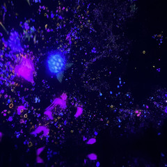 James Mahoney - Divine