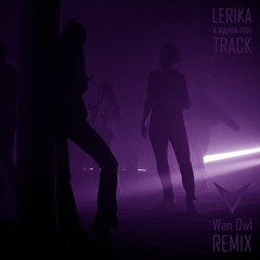 LERIKA - Я ждала этот Track (Wan Owl Remix)