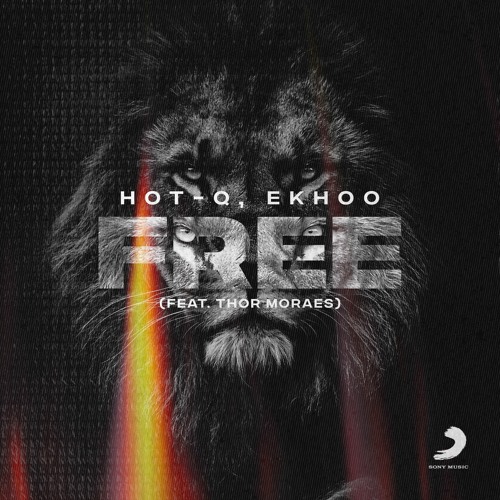 HOT - Q, Ekhoo - Free (Feat. Thor Moraes) [Extended Mix]