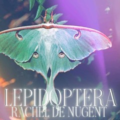 Lepidoptera