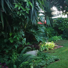 Finding Your Peace in the Tranquil Environment at Tree Aloe Guest House