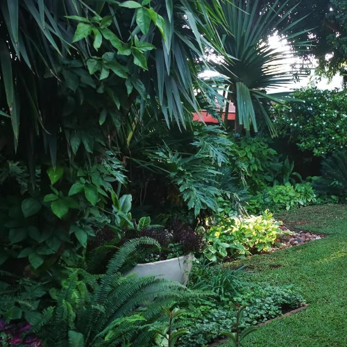 Finding Your Peace in the Tranquil Environment at Tree Aloe Guest House
