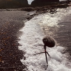 Doux Sac & Ressac DrirViK avec respiration du TroLL 20240430