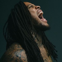 Waka Flocka Flame - Grove St. Party (Kenney Flip)