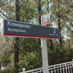 Komarovo (HINZY remix)