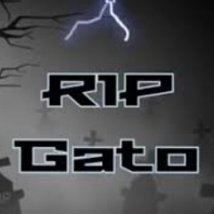 Skinny FT mnc - R.I.P viejo gato