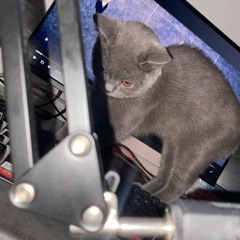 Kulaktan w/ 4emow prod. kani