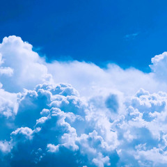 We Will Meet Again- Royal Me