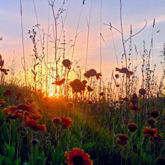 Dub Techno Session | 111 | 11:11