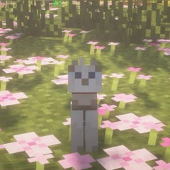 Sailor Song x Caramel