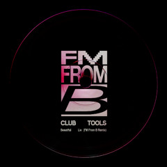 KeeMo feat. Cosmo Klein - Beautiful Lie  (FM From B Remix)