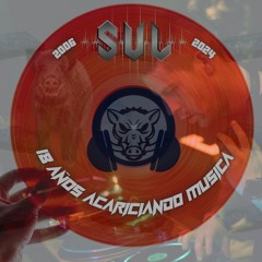 SUL- 18 AÑOS ACARICIANDO LA MUSICA (2006-2024)