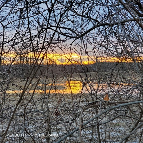 Poisonoise Music - Guest Mix - EPISODE 114 - PROTUBERANCE