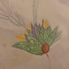 Entre deux galaxies, ma fleur