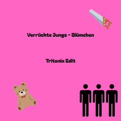 Verrückte Jungs - Blümchen (Tritonix Edit)