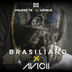 BRASILIANO X AVICII - VOLEVO TE X LEVELS (PEKKA MASHUP)
