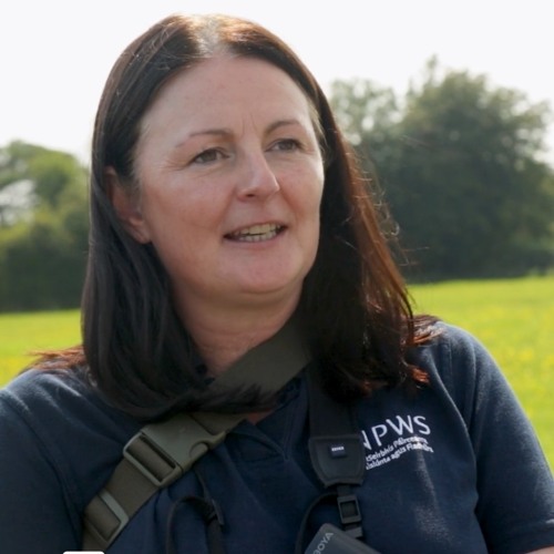 Therese Kelly - NPWS - on why and how we conserve bogs