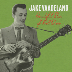 Beautiful Star of Bethlehem