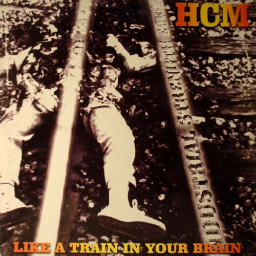 hcm - Synthesized Brain
