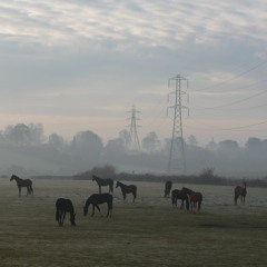 Casanova Remastered)