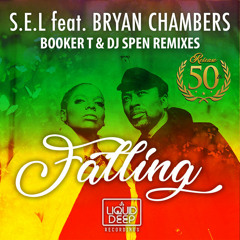 Falling (Booker T Kings Of Soul Satta Dub)