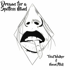 Dreams For A Spotless Mind