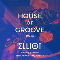 House of Groove #025 (Anniversary Groovy Promos Special)