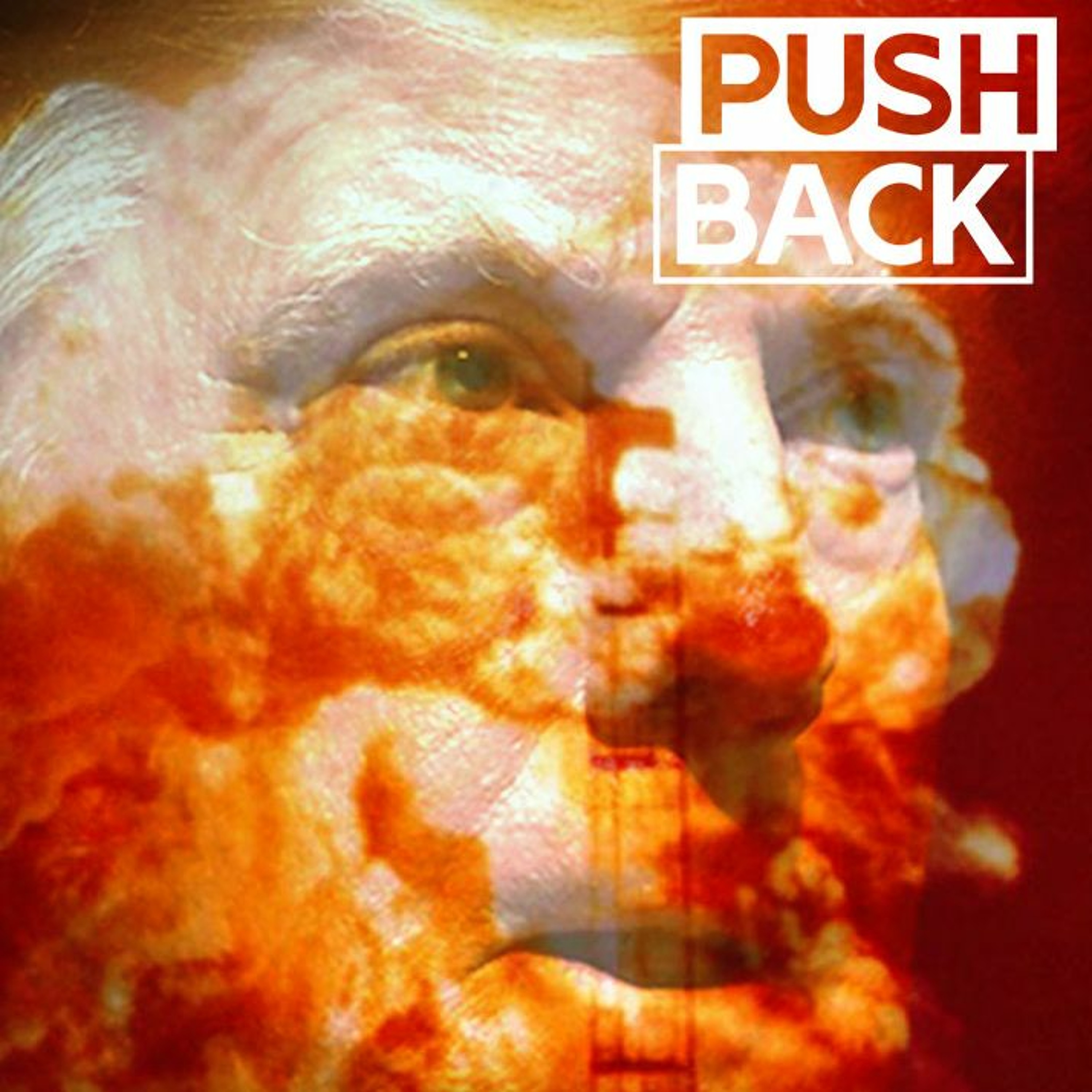 Pushback with Aaron Mate