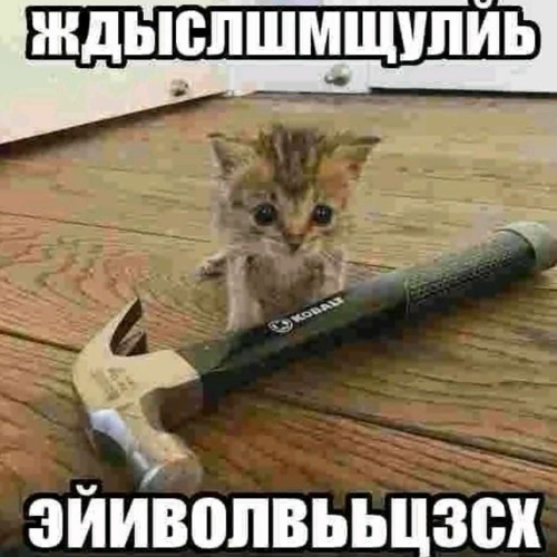 Nav Katze - OUT - FULL ALBUM