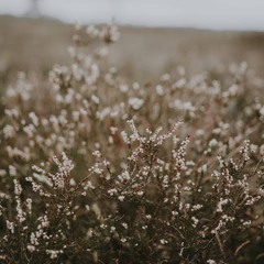 Somewhere Only We Know