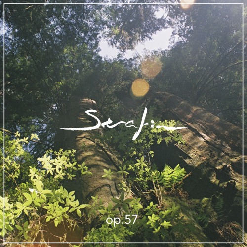 Serafin Sinfonia Op. 57 - Vista Shepherd - EIn Frühling wie niemals