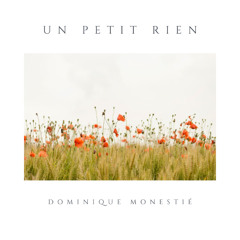Un petit rien