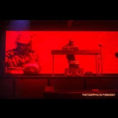 "Afterlife" Ravenscoon 2025 at Old Rock House (STL)