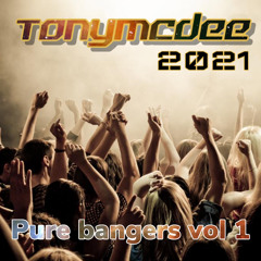 pure bangers vol 1     FREE DOWNLOAD