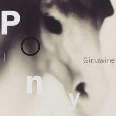 Ginuwine - Pony (Dark Intensity Remix)